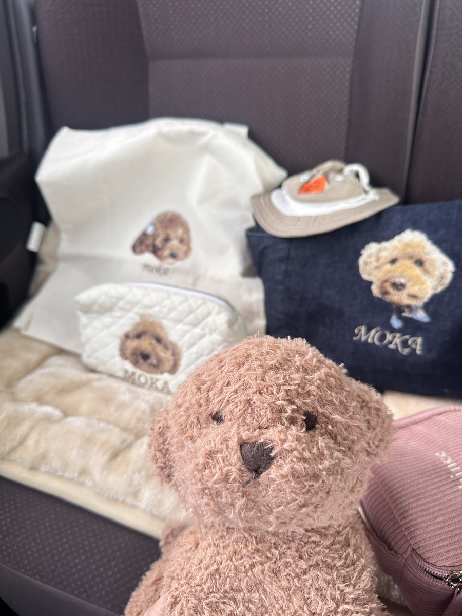 もっち。 (@mocchi__0312) / Posts / X