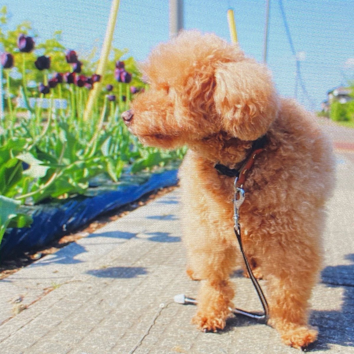 もっち。 (@mocchi__0312) / Posts / X