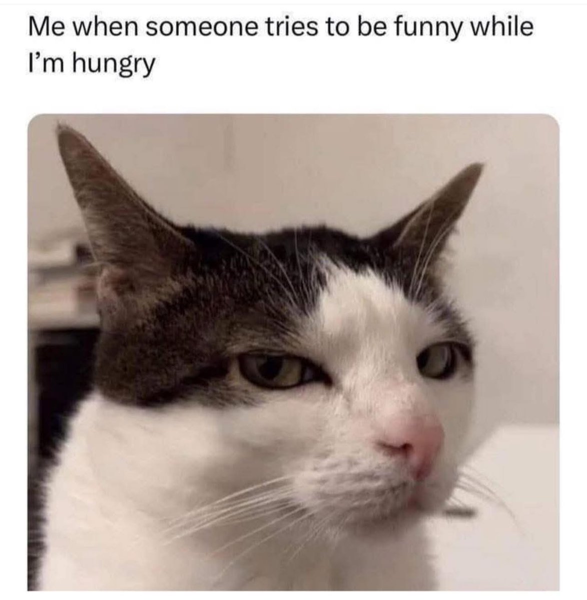 GuHuVcVWYAAFdxS