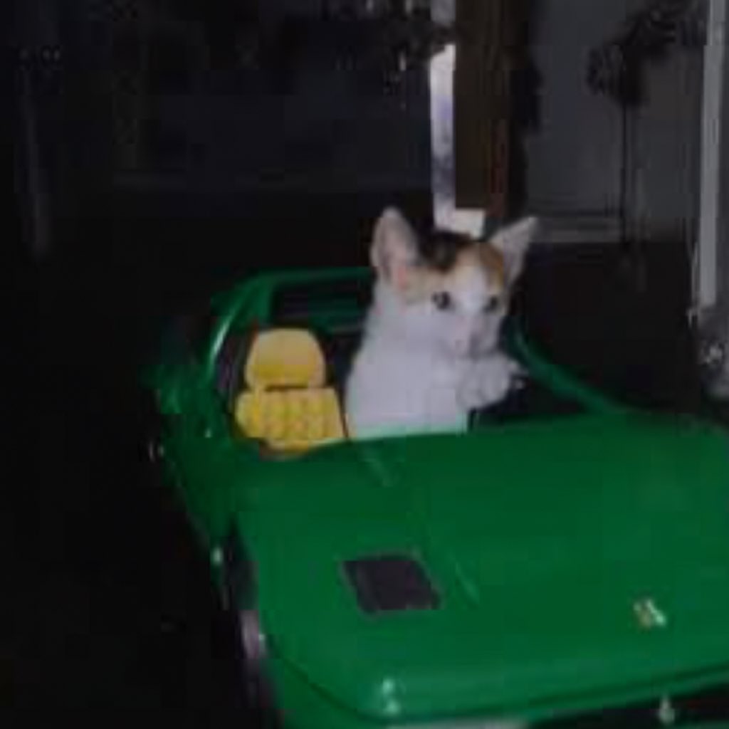 IRISH SPRING GREEN

JUST LIKE THE CHART

$FURRARI