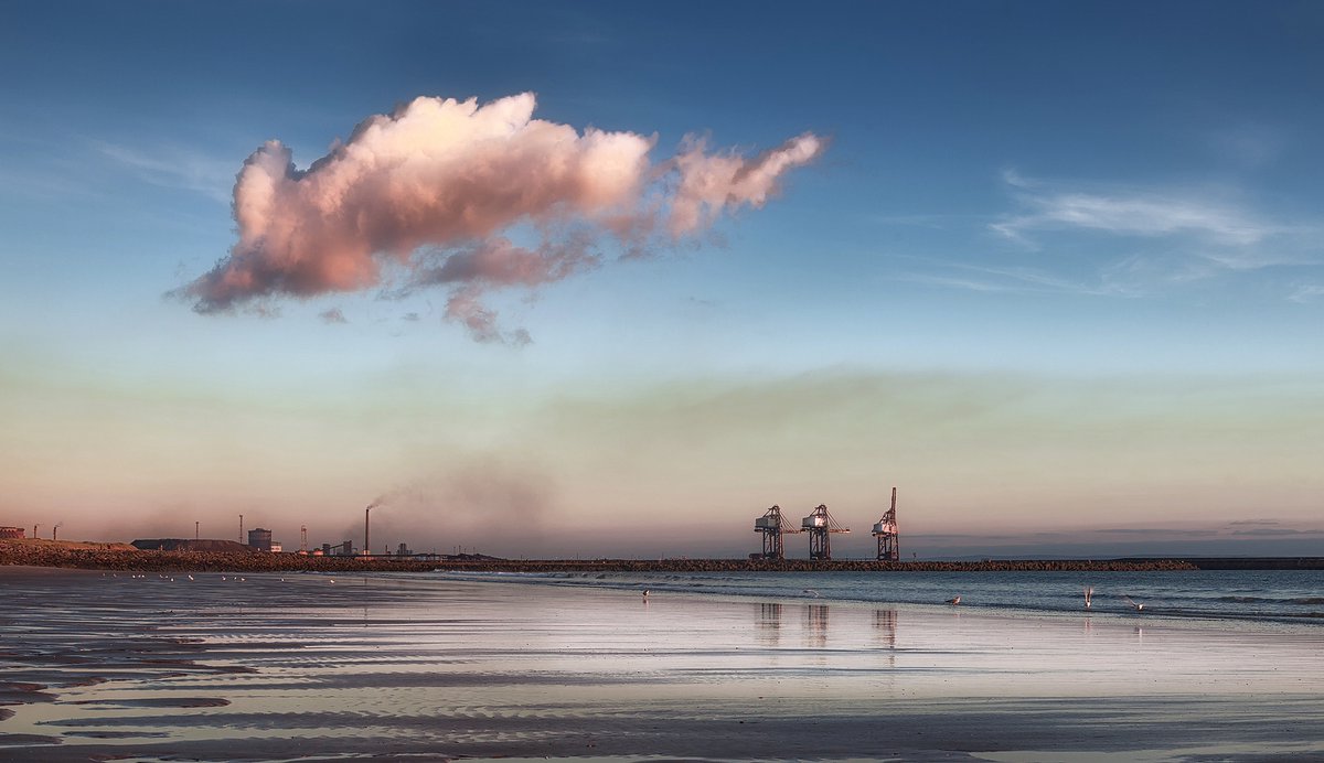 OceanWise tweet media