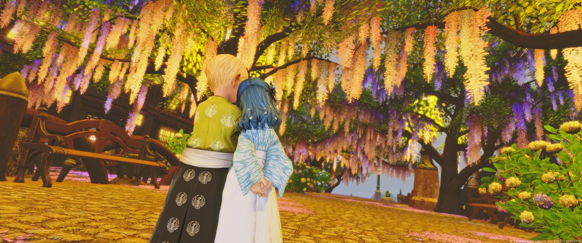 aoi2dolphin's tweet photo. #おつララ です(*´ω`*)
今日もお仕事は詰め込みだったのでヘトヘト…雨と気圧で体調辛い人も多いみたいなので、夜はのんびり体を労わりつつ過ごしましょう~☔
#ゼロムス並木道
#EE14 #ララフェル https://t.co/sUJvJqxAEX