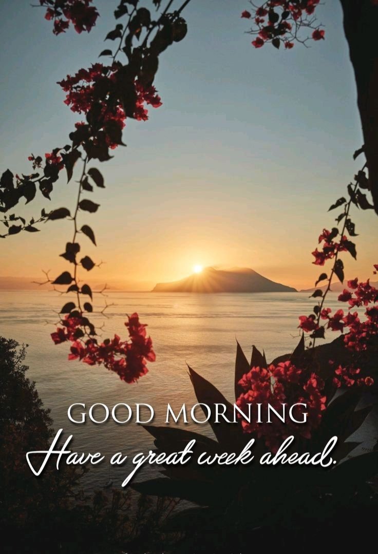 FrannyReilly's tweet image. Morning you lovely people around the world 馃憢 鈽曪笍 馃審
Happy Monday 馃尋
Hope you had a good weekend
It's a nice start to the day here in Fife 馃尌 馃寠 馃彺鬆仹鬆仮鬆伋鬆仯鬆伌鬆伩
Have a great day and a wonderful week ahead whatever your doing 馃彙 馃尀 馃泹 馃尰 馃拹
Coffee time for me 鈽曪笍
Love to you all 馃槝 鉂わ笍 馃グ