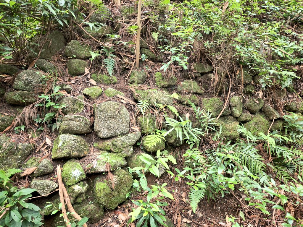 mononofu5's tweet photo. 筑前 有智山城跡に登城。5, 6回目。名門・少弐氏の本拠。宝満山の尾根上の山城で西に九重ヶ原があり、北の御笠川源流を下れば大宰府、博多へ至る。福岡県太宰府市。

初代・武藤資頼は源頼朝より大宰少弐に任ぜられ、子孫は少弐姓を名乗り筑前守護等を兼任。
元寇の際、一門は主力として勇名を馳せる。 https://t.co/uUGx1JnUTF
