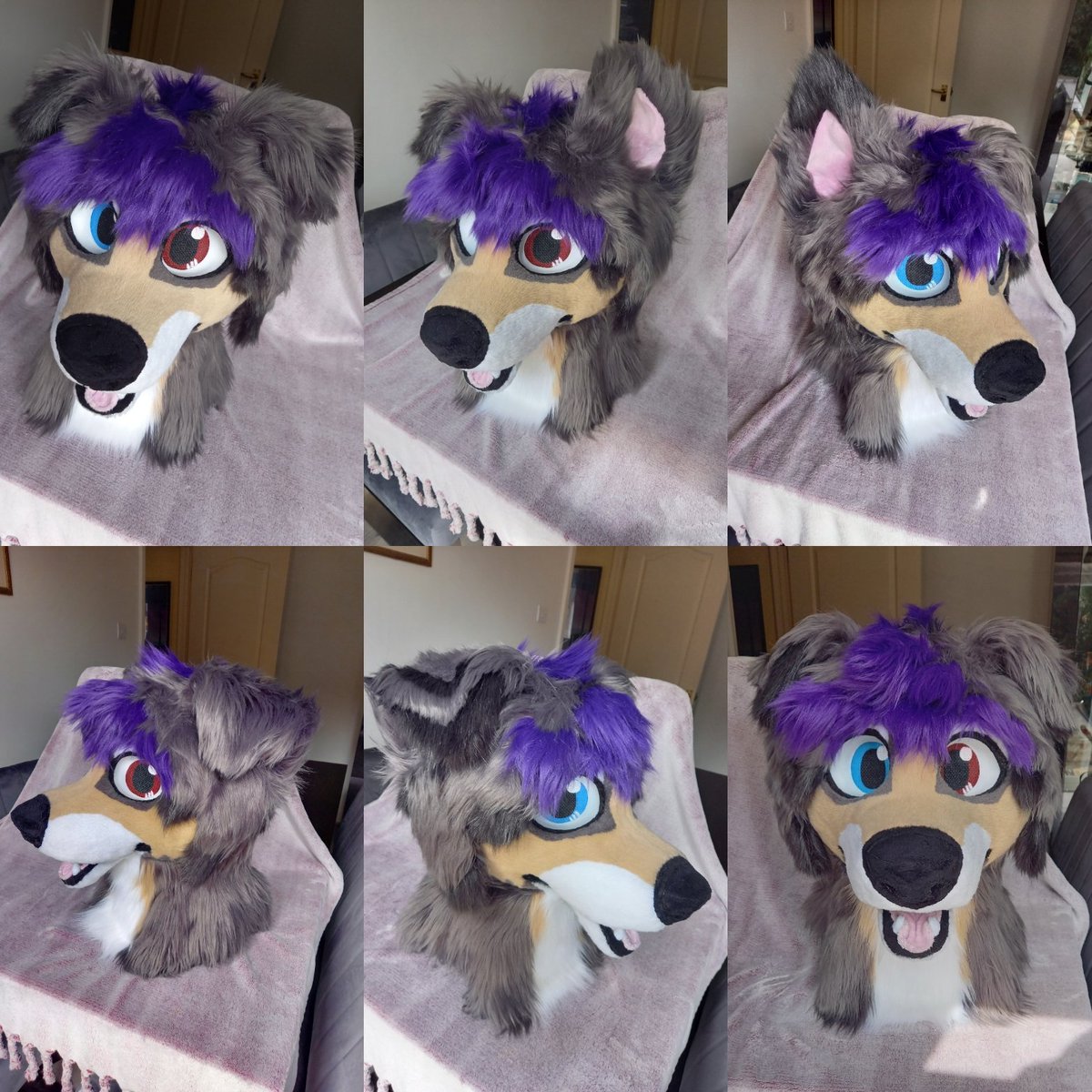 MeiFursuits's tweet photo. Damian the collie joined the family back in April. Maybe you saw him around Confuzzled! 😁

#meifursuits https://t.co/iOLqMK56Cn