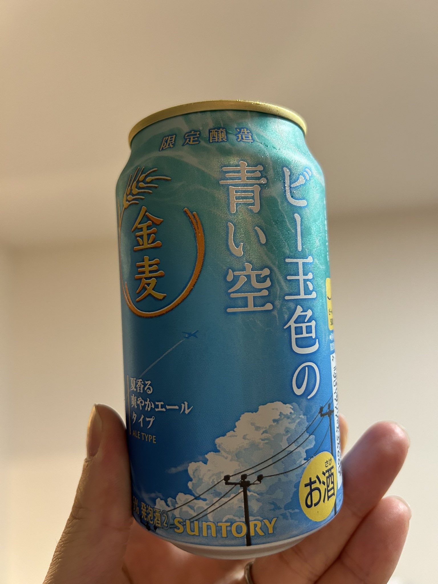 純金 カンガルー金貨 1/4オンス 7.77g 流通品 1995年 K24 24金