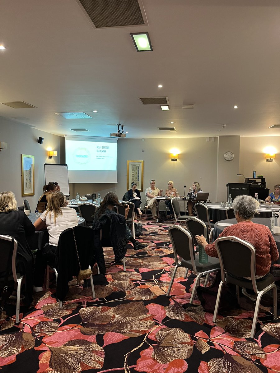 In line with Action 18 of the NTHAP, we are in attendance at a meeting to discuss the proposed framework for a standardised Traveller Cultural Awareness Training for health service providers.