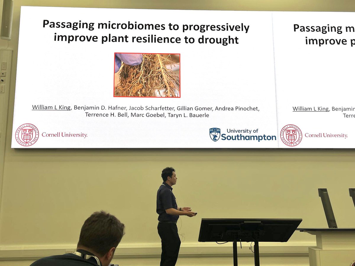 William L King tweet media