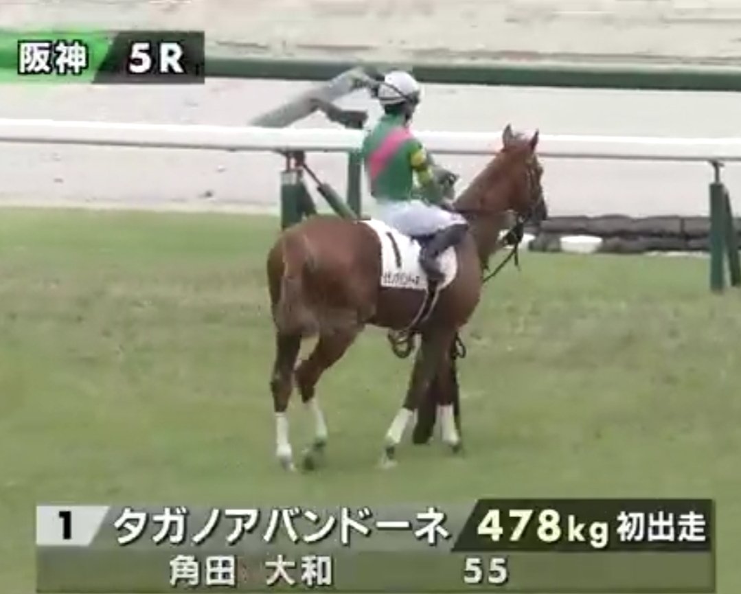 フジ（富士輝石） tweet media