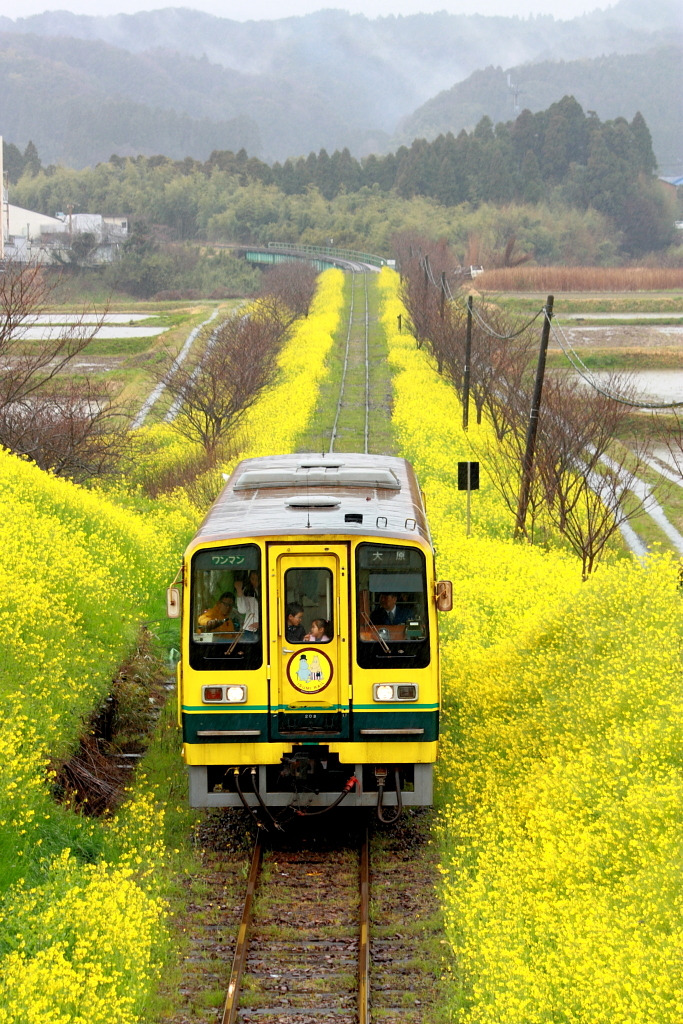 Isumi Line in Chiba, Japan.