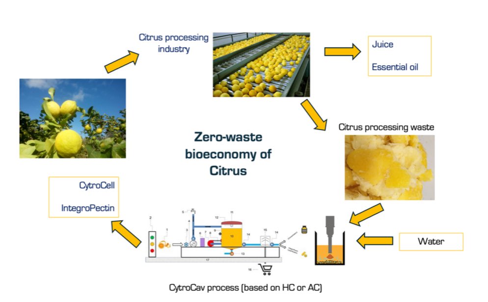 CytroCell@Lime for the widespread uptake of lime in construction: a bioeconomy insight.

Preprint openly accessible <a href="/ChemRxiv/">ChemRxiv</a>:

doi.org/10.26434/chemr…