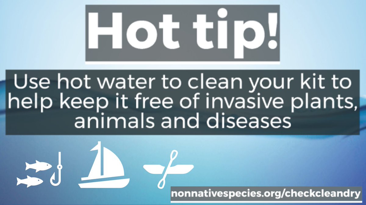 CheckCleanDryGB's tweet image. Hot tip!

Using water from the hot tap to clean boats, clothing &amp;amp; equipment helps to keep your kit free of #InvasiveSpecies and #Diseases
🎣🛶⛵️

nonnativespecies.org/checkcleandry #CheckCleanDry