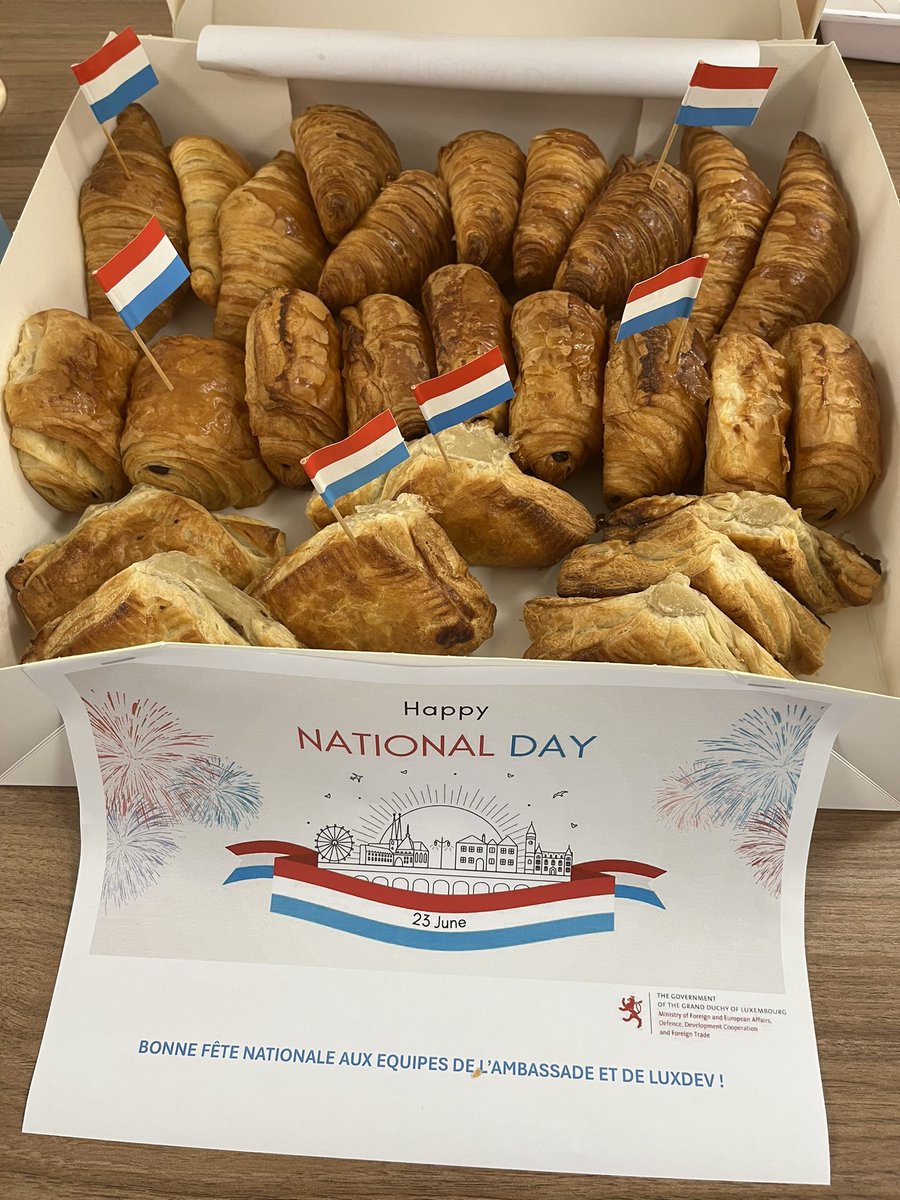 Ambassade du Luxembourg à Bamako 🇱🇺🇲🇱 tweet media