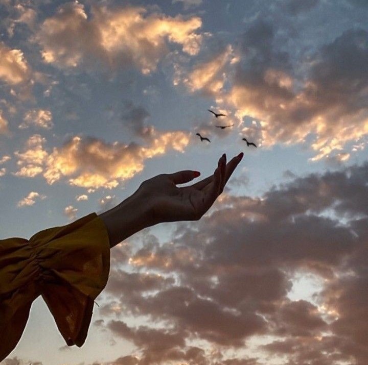MareMonreve's tweet image. Hai barattato un’introvabile coda da sirena con due gambe lunghe e seducenti e una camminata leggera.
Ma ci sono giorni di vento e nuvole in cui guardo il mare in burrasca e so che tu sei lì, in mezzo a quelle onde, a respirare quello che sei stata un tempo.
(F. Caramagna)