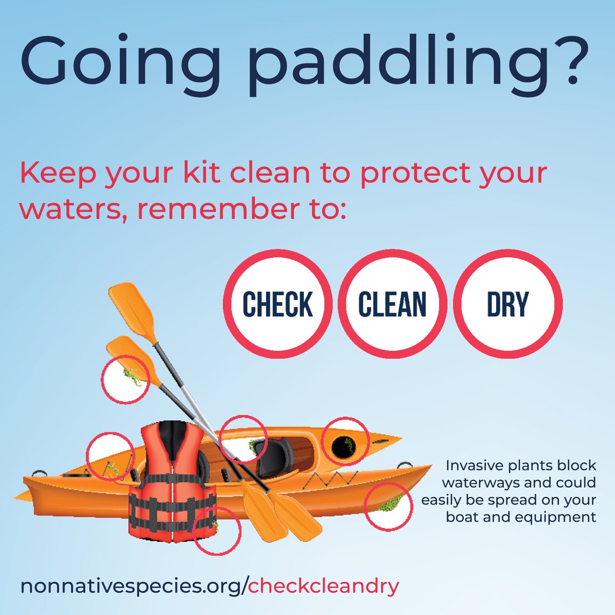 CheckCleanDryGB's tweet image. Going paddling? 🛶
Invasive non-native plants and animals block waterway preventing paddling.
To help prevent this, remember to:
🔎Check
🚿Clean
☀️Dry
after you leave the water.
It&apos;s even more important if you&apos;ve been abroad!
Visit nonnativespecies.org/what-can-i-do/…