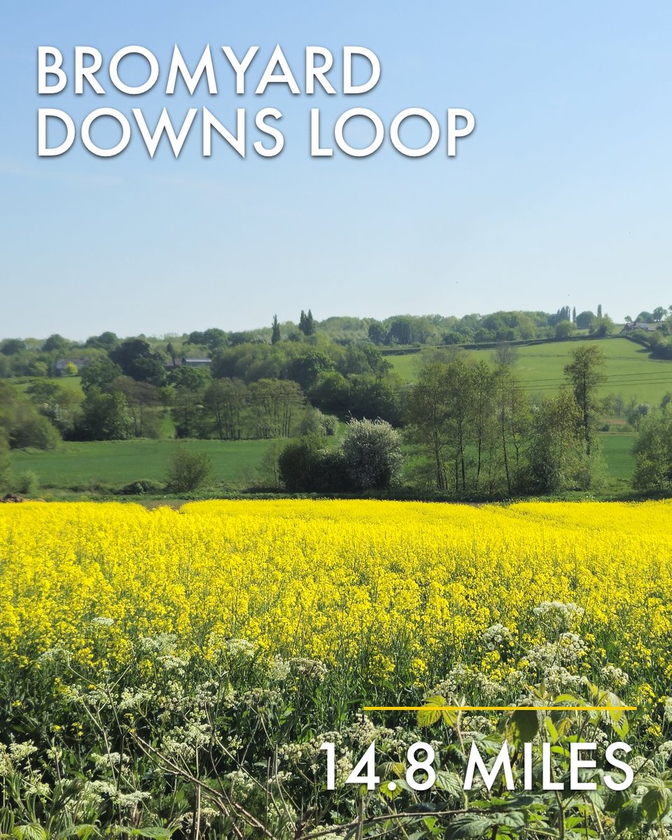 Who loves a good bike ride? 🚴‍♀️

If you’re someone who enjoys getting out on two wheels, we’ve put together a few lovely cycling routes around the Bromyard area – they’re perfect for this time of year.

Just don’t forget your helmet! 😉