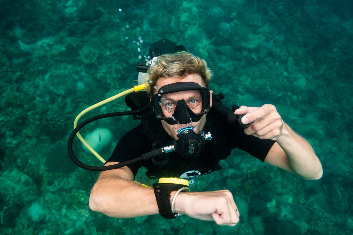scubadivingyard's tweet photo. Have you explored our top Scuba brands yet?
.
.

#scuba #escapewatersports #snorkelling

#diving #scubadiving #divingmask #scubamask #scubasnorkel #snorkellinguk https://t.co/mH2e30hf56