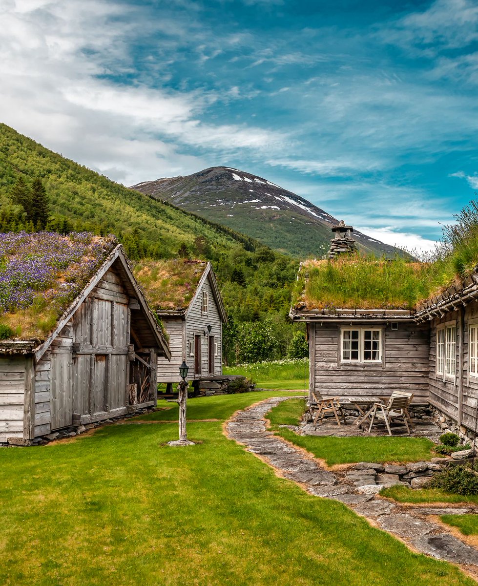 SoEarthen's tweet photo. Norway #AbandonedCabins #TurfRoof https://t.co/tZV4rlpe0I