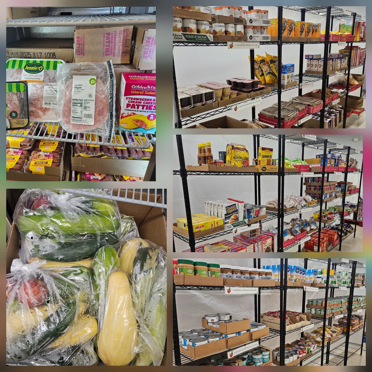 TempleTerraceElem tweet media