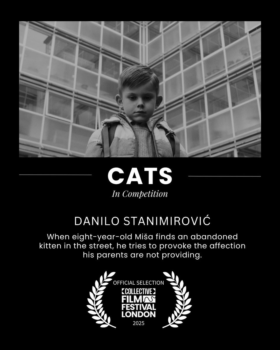 AnthonyVander_'s tweet image. Collective One - Official Selection  #CFFL25

An Eighth of Him by Levi Aluede
Cats by Danilo Stanimirović
Ophelia by Frances Loy
The Nudes by Benjamin Turner

📍Join us Friday July 18th for a day of cinema, connection, and creativity. #FilmFestival  #StoriesFromEveryAngle