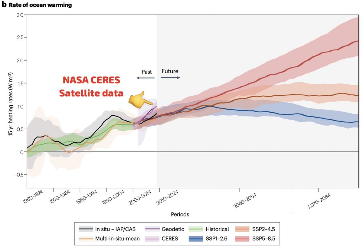 Leon Simons 🌍 tweet media