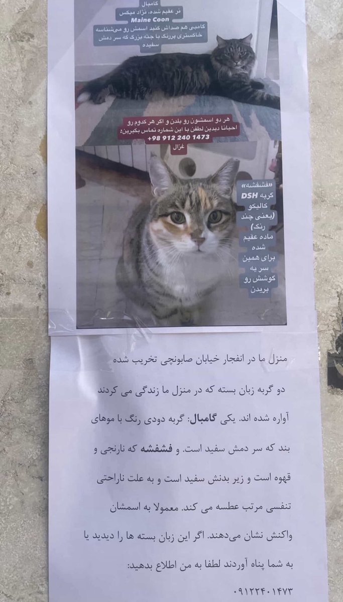 Nazi_rz's tweet photo. لطفا کمک کنید.
#ریتوییت لطفا. https://t.co/hbC4bRMnYL