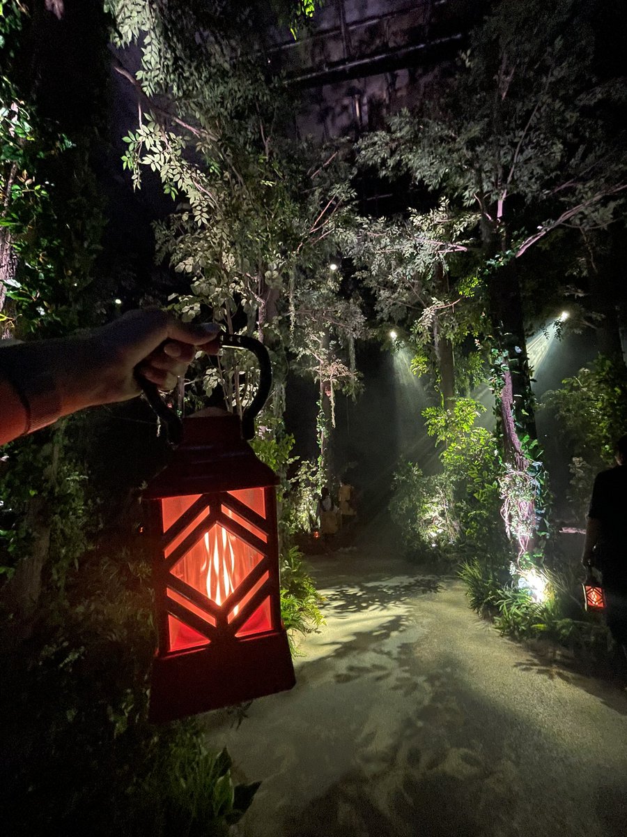 万博7回目は住友館へ。ランタン片手に森を探検🌳Xで事前に仕入れてた
