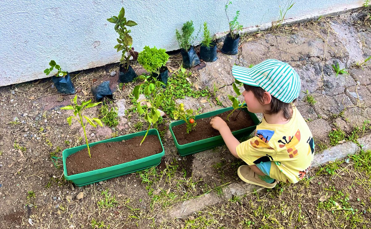 Çiçekçide kendimizi biraz kaybetmişiz, şimdi 4 saksı daha almamız gerekecek 😁