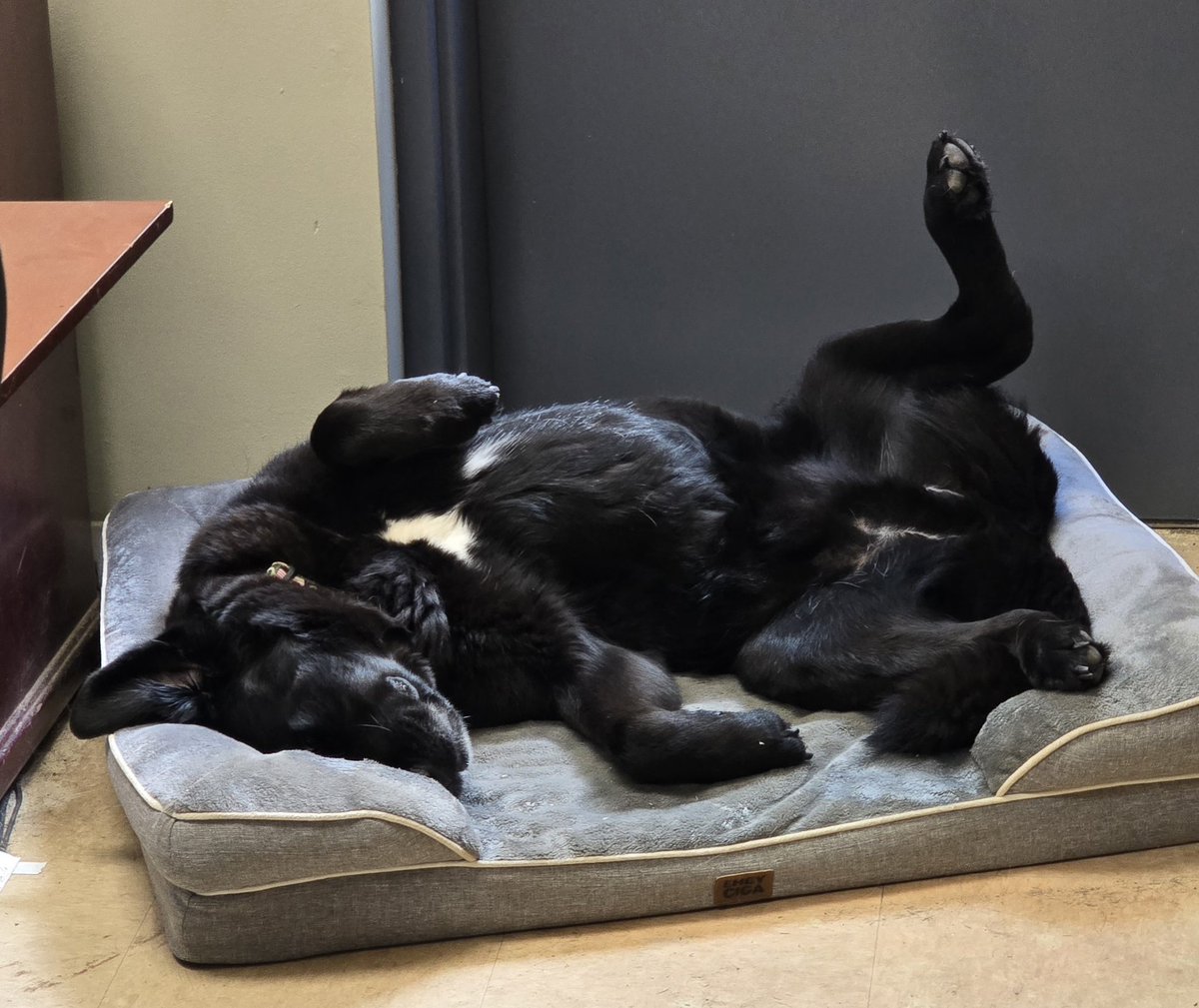 One crew member not worried about the heat this week.