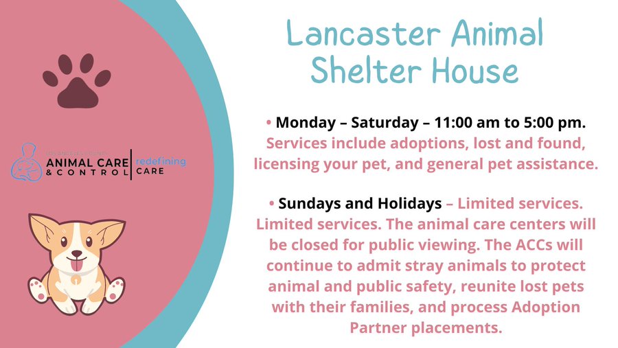 AnimaLancaster's tweet image. Shelter Hours Call 661-940-4191 for more information animalcare.lacounty.gov