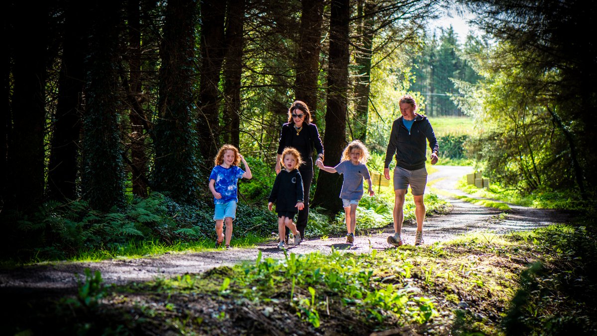 📣Have your say on the Draft Outdoor Recreation Plan 2025-2030!🌲 

The Draft Plan is now open for consultation and observations at: mypoint.limerick.ie/en/consultatio…

We will have open drop-in events in Adare, Kilmallock and Limerick City in the coming days.

#LimerickEdgeEmbrace