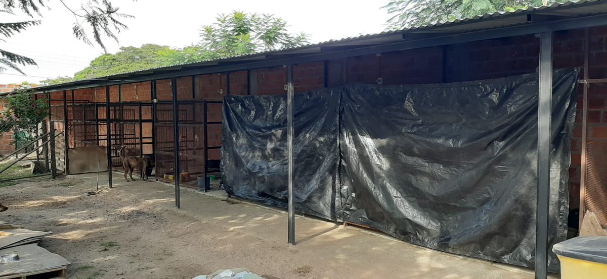 Queridos amigos del refugio!
Pedido de AUXILIO por la ola de frío que llegó 😭😭 Necesitamos reforzar los pasillos de los 2 pabellones y también donde está Jefe. El plástico que compramos el año pasado ya se deterioró y no sirve para todos los lugares‼️