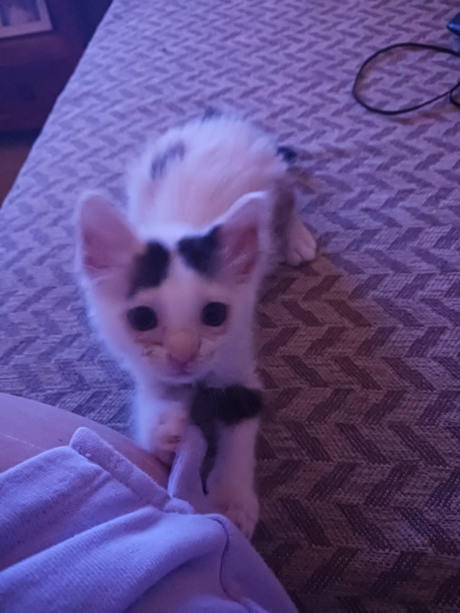 Παιδιά ο Μήτσος 😍😍😍😍