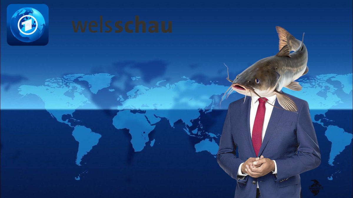 gabbagandalftv's tweet photo. Guten Abend, ich begrüße Sie zur Welsschau.
In Mittelfranken am Brombachsee kam es zu einem rassistisch motivierten Welsmord. 
Unser Außenwels berichtet. https://t.co/1BpCJcR2nP