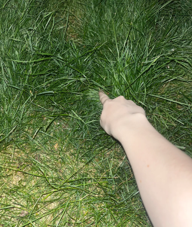 #openseatouchgrass #opensea
<a href="/opensea/">OpenSea</a>