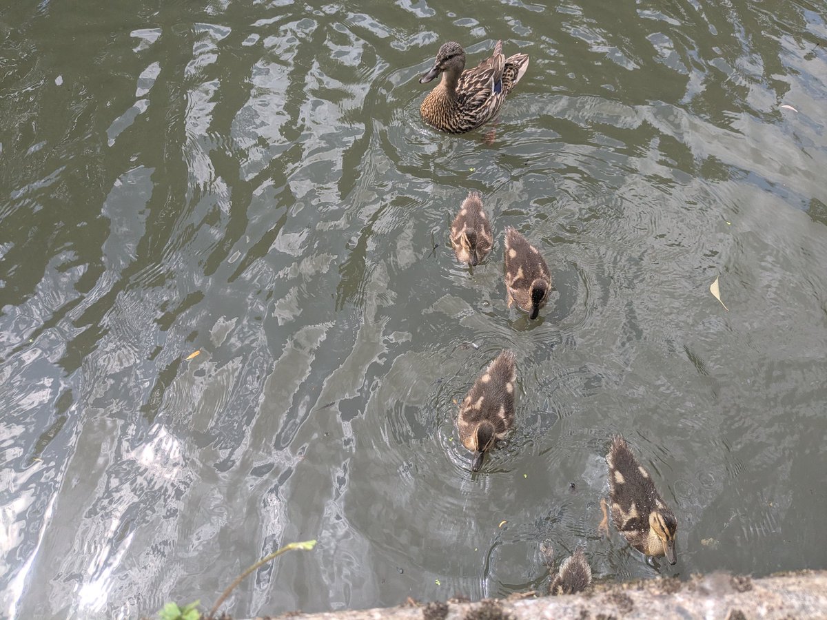 Claire Hill tweet media