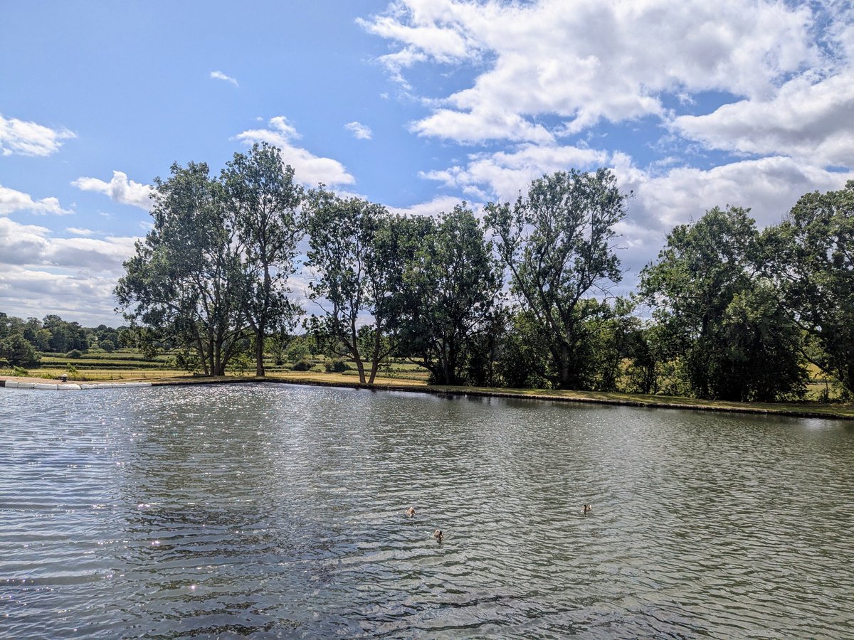 Claire Hill tweet media