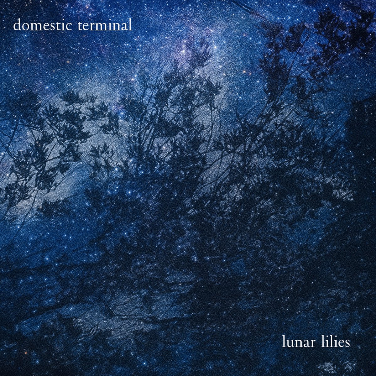 DTerminalLF's tweet image. our new song LUNAR LILIES drops on July 18th. Pre-save: distrokid.com/hyperfollow/do…