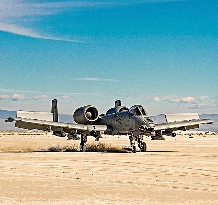 DelightfulArchi's tweet image. 🚨🐗 #A10 Warthog, the flying tank

Built around the GAU-8 Avenger: a 30mm cannon that spits 3,900 rounds/min

It doesn’t fly to war. It flies through it!

Let’s talk about the king of close air support 🧵👇

#OnlyFullSends #A10Thunderbolt #Warthog