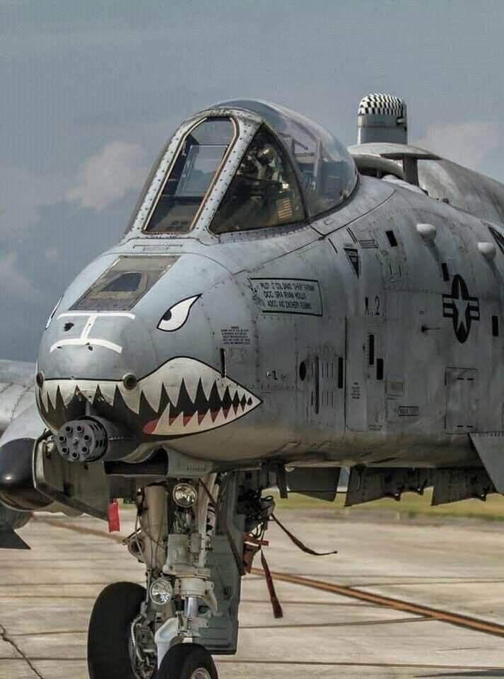 DelightfulArchi's tweet image. 🚨🐗 #A10 Warthog, the flying tank

Built around the GAU-8 Avenger: a 30mm cannon that spits 3,900 rounds/min

It doesn’t fly to war. It flies through it!

Let’s talk about the king of close air support 🧵👇

#OnlyFullSends #A10Thunderbolt #Warthog