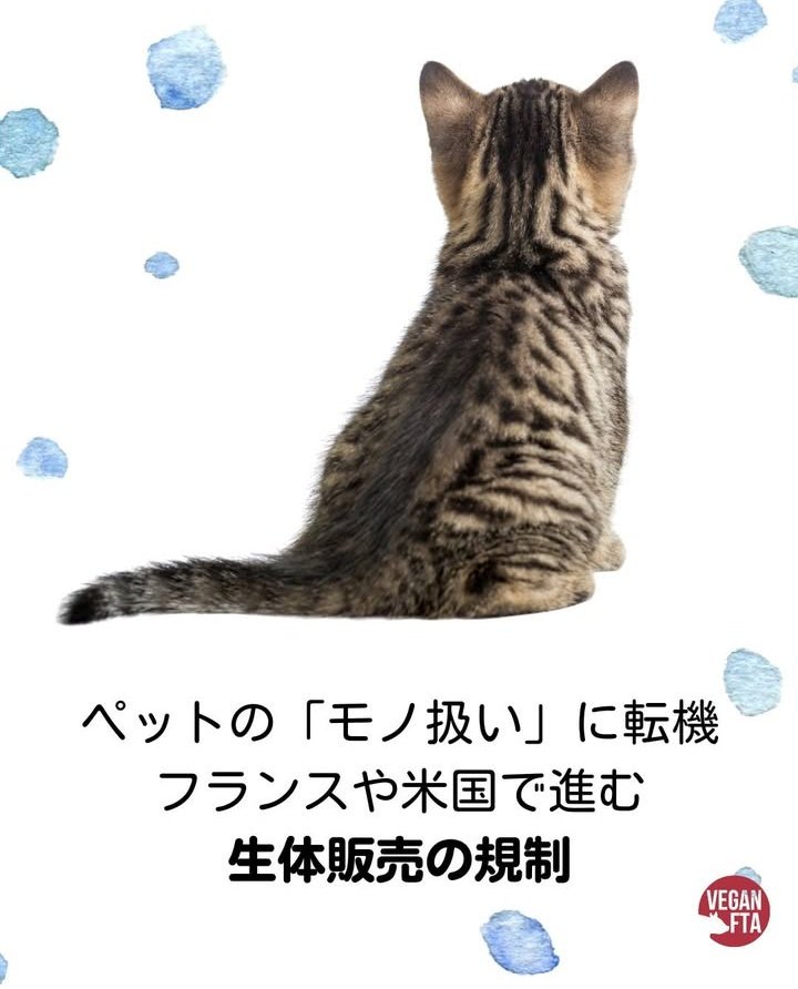フランスでは2024年からペットショップでの犬猫の販売が禁止
2026年にはイルカやシャチを使ったショーが、2028年には移動式サーカスでの野生動物の利用が禁止される予定

米国、カリフォルニア州やニューヨーク州など8州がペットショップでの犬猫ウサギの販売を禁止

日本は？