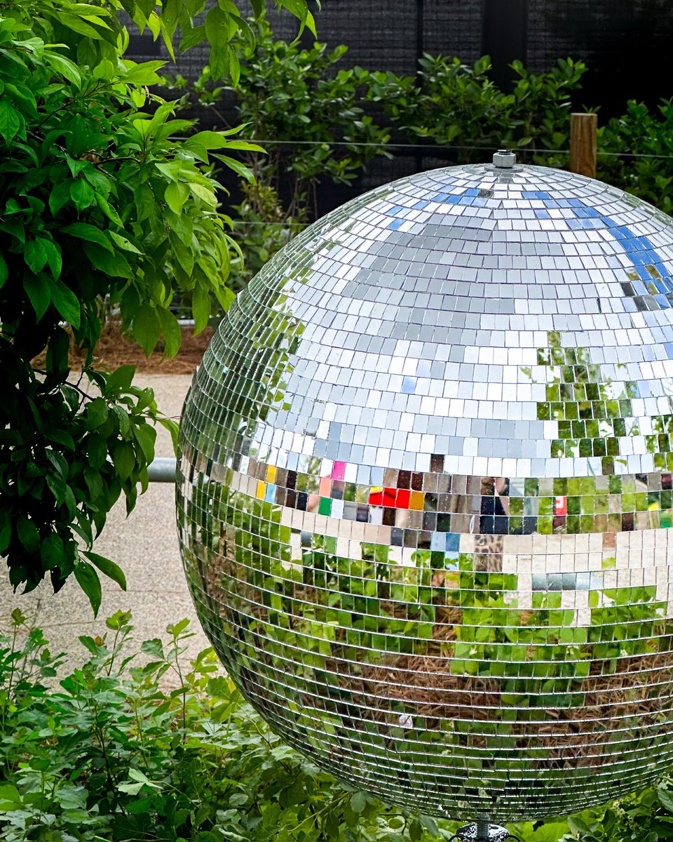 Disco balls 🪩, flower charging stations 🌺, a ferris wheel 🎡. Just a few sights that are classic RIVERBEAT. IYKYK.