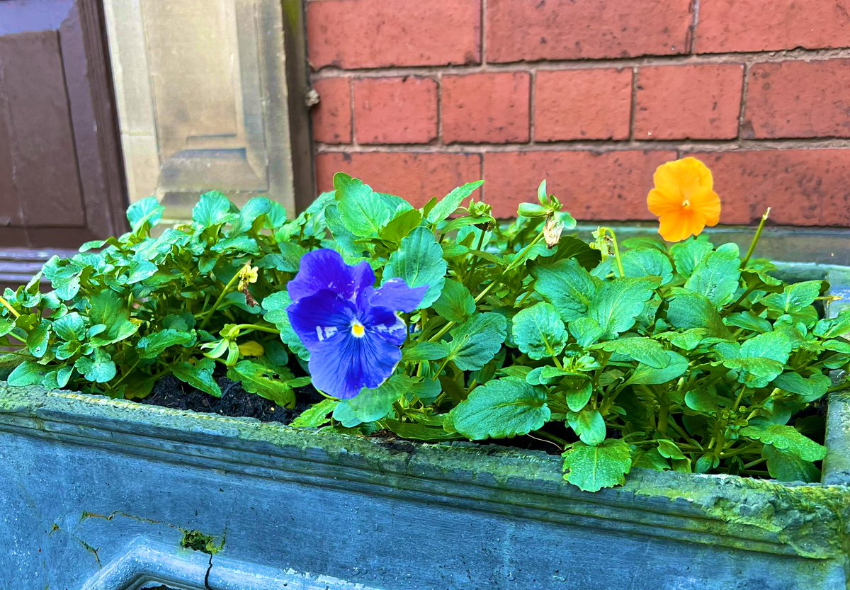 sheelamahal's tweet image. Let’s see your First Days of Summer captures! 🌺😉

#FirstDaysOfSummer