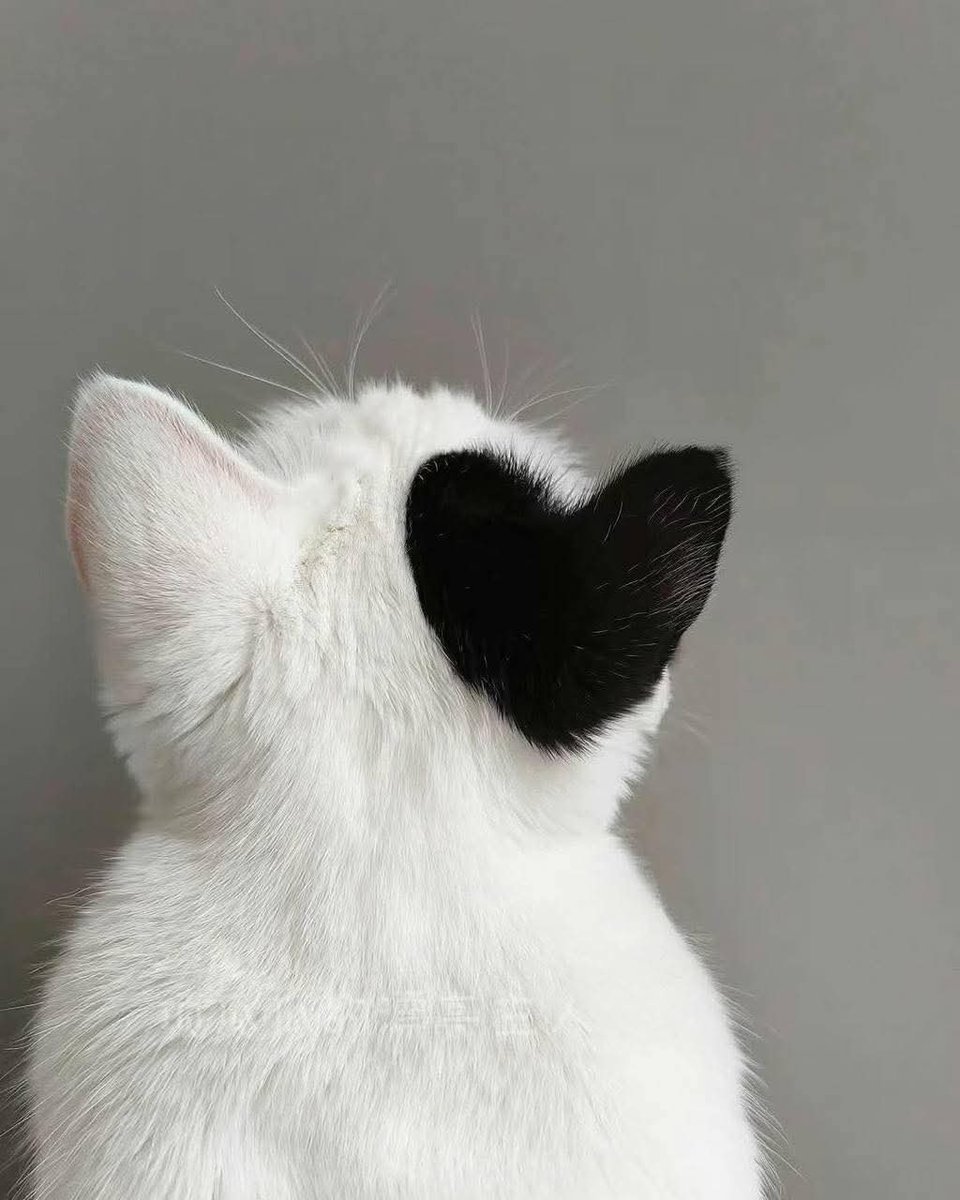 ColdOne_Ntl tweet picture