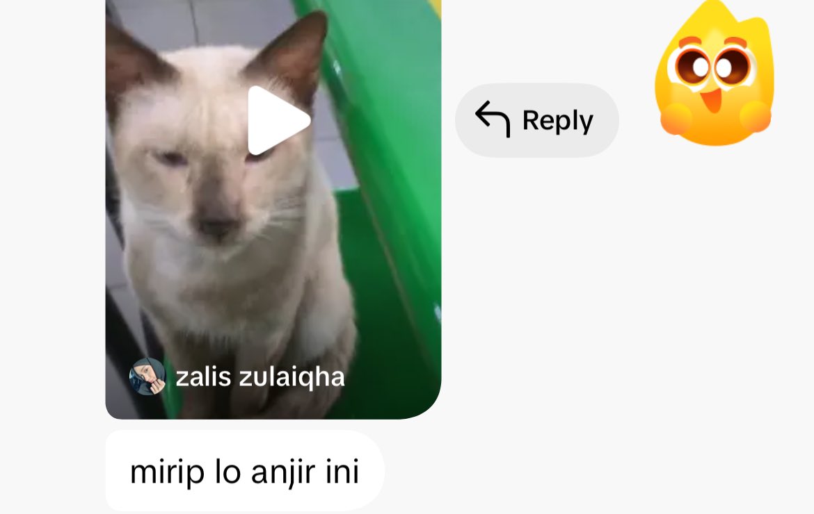 mandesjenner tweet media