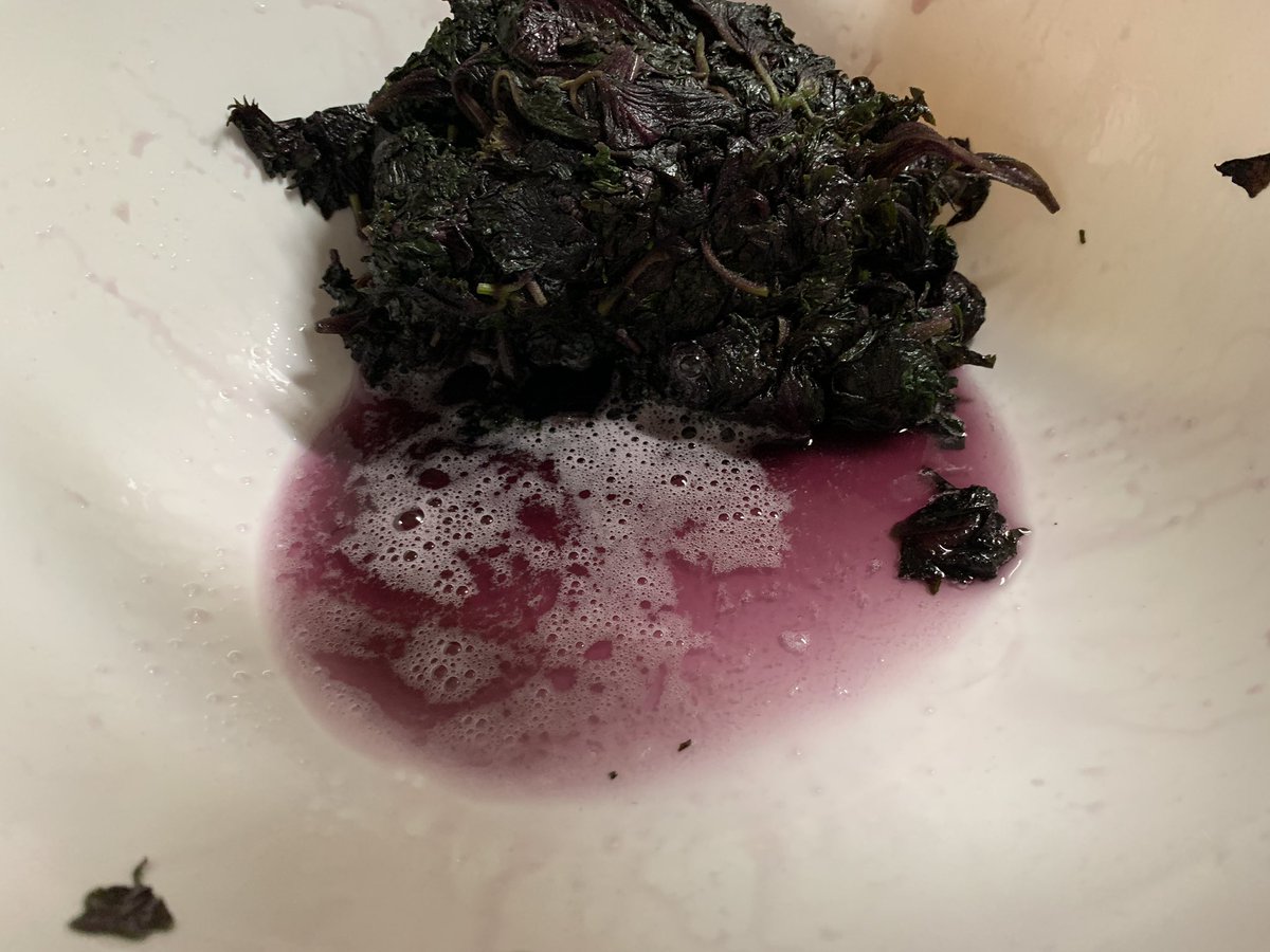 roastpork193's tweet image. 赤紫蘇はこうなりました
