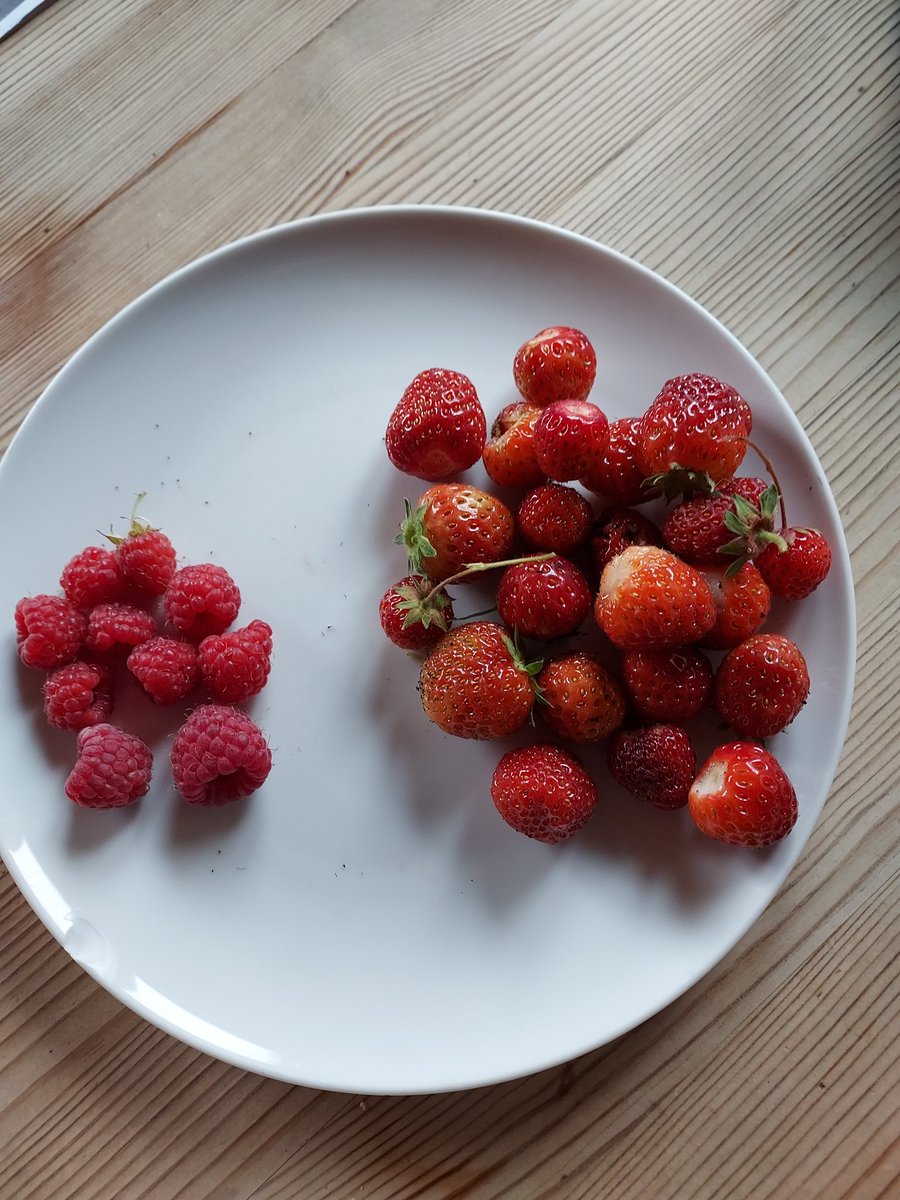 65g of peas and salad at lunchtime, 135g of berries after school...