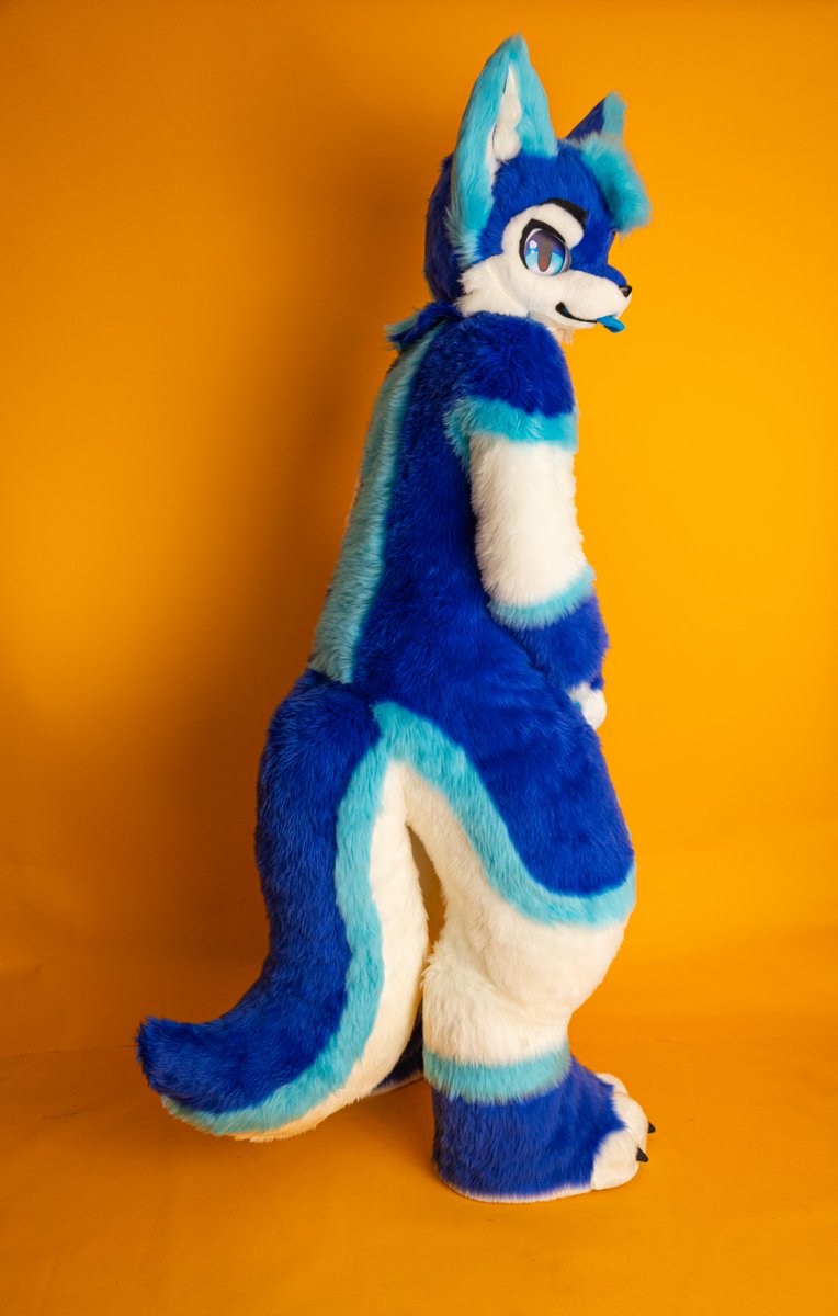 DatBlueHusky 🔜 @FWA @AC (@datbluehusky) on Twitter photo Dat kemono!! He will be at Anthrocon for his first debut.
📸 <a href="/DoggoHoo/">Hoo?Wut!?🇨🇦</a>
✂️ <a href="/Amuwu0306/">Amuuwu阿目织物</a> Dat kemono!! He will be at Anthrocon for his first debut.
📸 <a href="/DoggoHoo/">Hoo?Wut!?🇨🇦</a>
✂️ <a href="/Amuwu0306/">Amuuwu阿目织物</a>