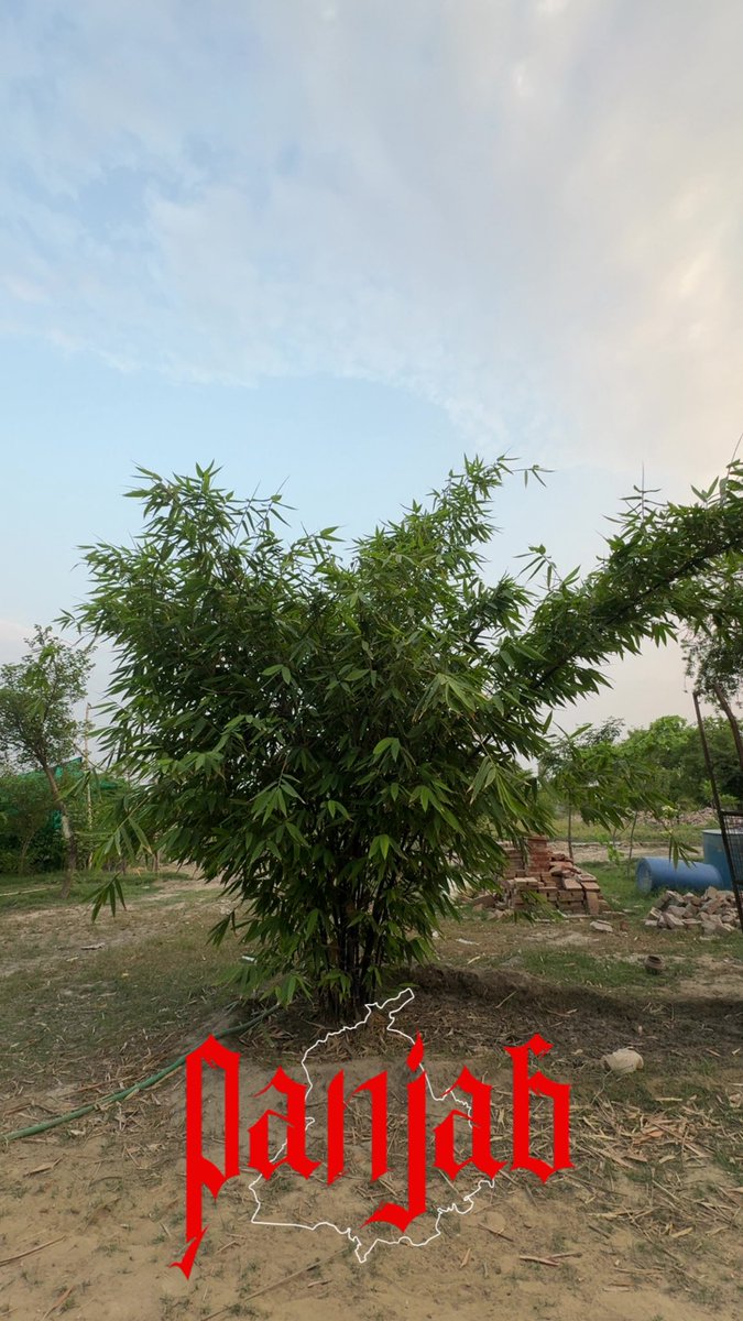 Onkar Singh Sidhu tweet media