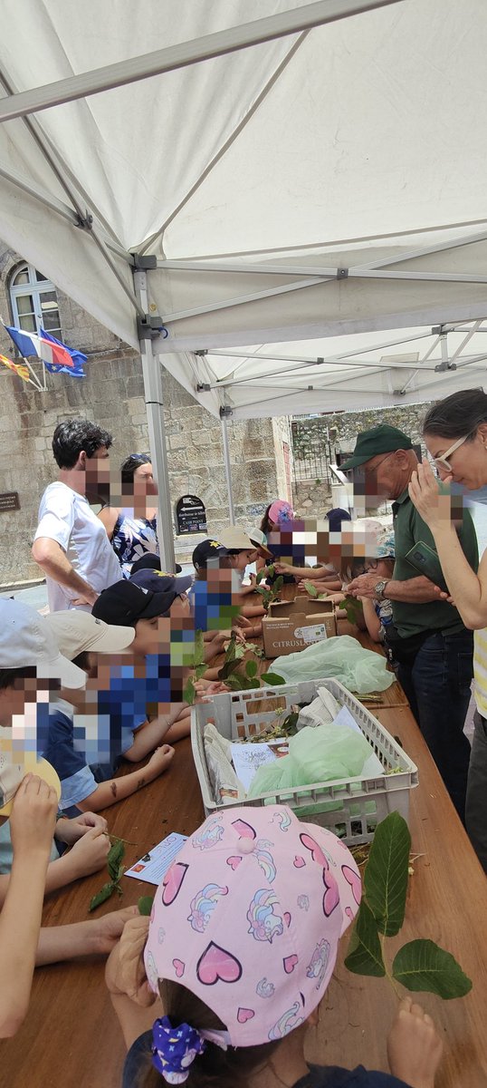 Avui a #VilafrancadeConflent hem fet #Tallers #ramelletsdelabonaventura per #SantJoan amb les escoles del #Conflent #CatalunyaNord <a href="/LaBressola/">La Bressola</a> 
A l'arribada de la #FlamadelCanigo 
<a href="/AlbertPineira/">Albert Piñeira Brosel</a> <a href="/binomi11/">[binomi]ⁿ</a>